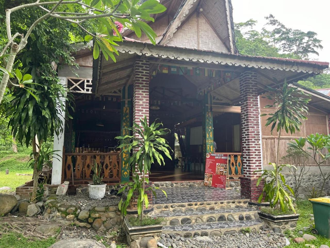 Pongo Guest House & Jungle Trekking ブキットラワン エクステリア 写真
