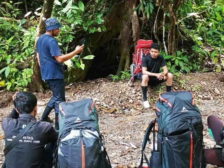 Pongo Guest House & Jungle Trekking ブキットラワン エクステリア 写真