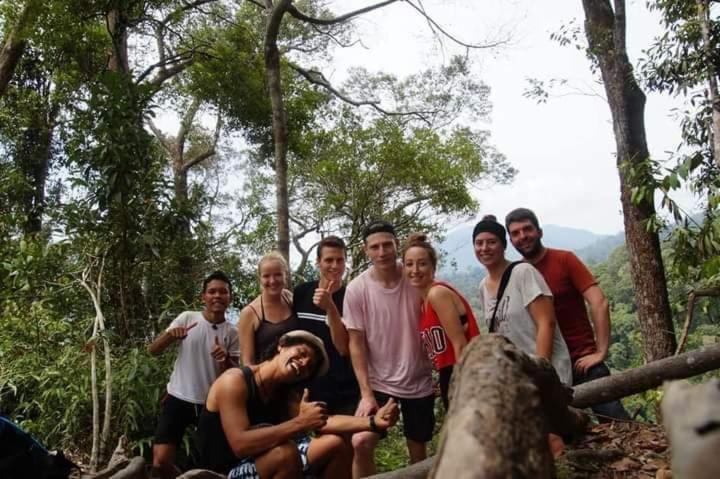 Pongo Guest House & Jungle Trekking ブキットラワン エクステリア 写真