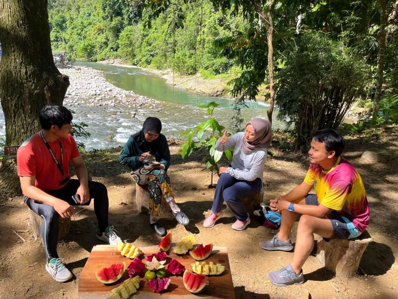 Pongo Guest House & Jungle Trekking ブキットラワン エクステリア 写真