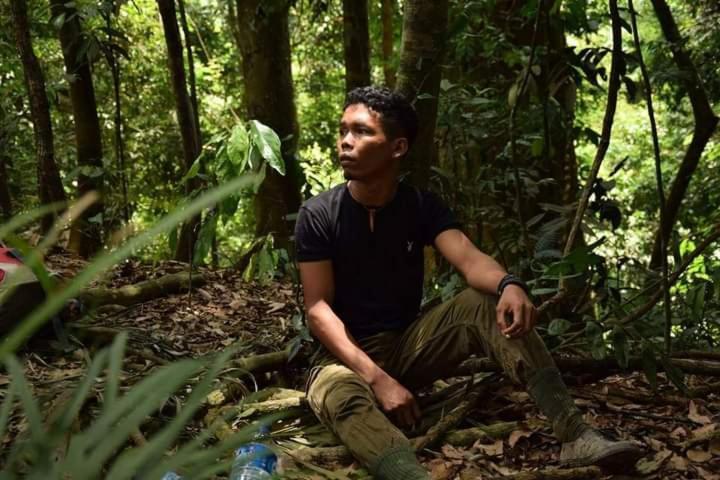 Pongo Guest House & Jungle Trekking ブキットラワン エクステリア 写真