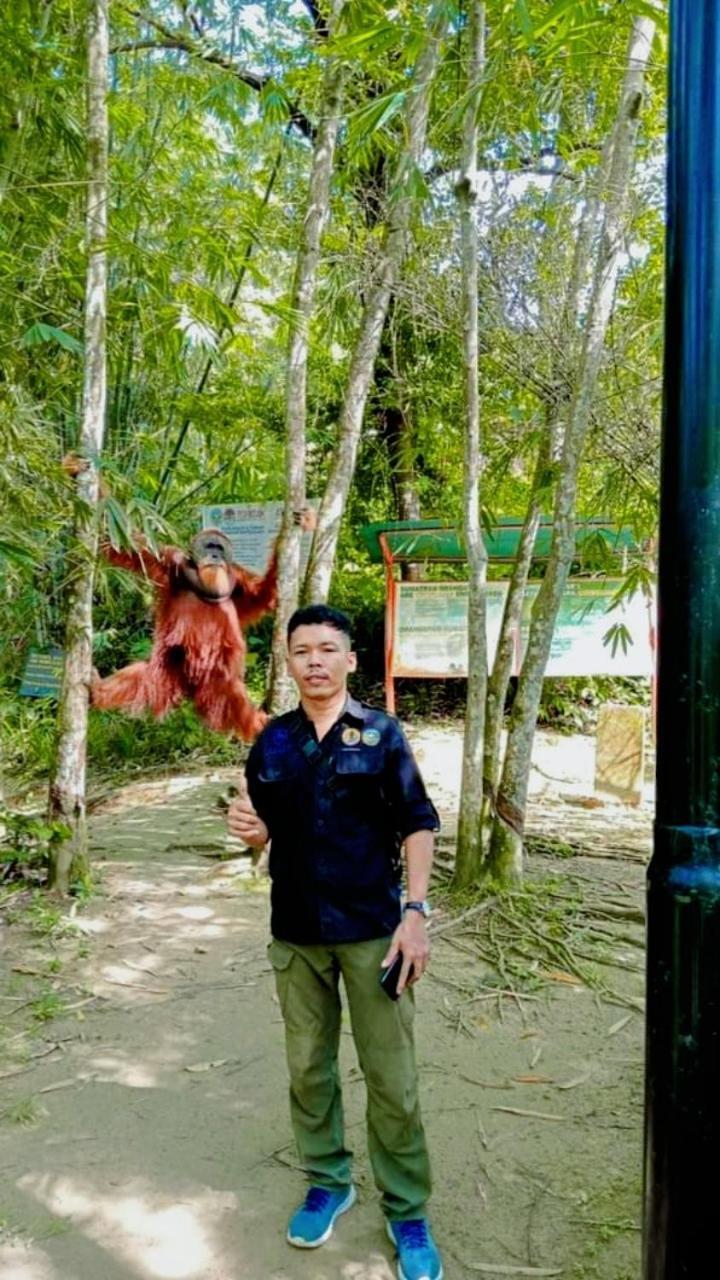 Pongo Guest House & Jungle Trekking ブキットラワン エクステリア 写真