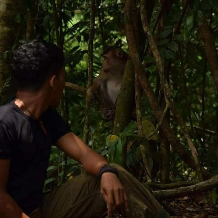 Pongo Guest House & Jungle Trekking ブキットラワン エクステリア 写真