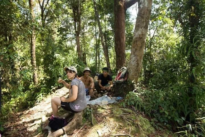 Pongo Guest House & Jungle Trekking ブキットラワン エクステリア 写真