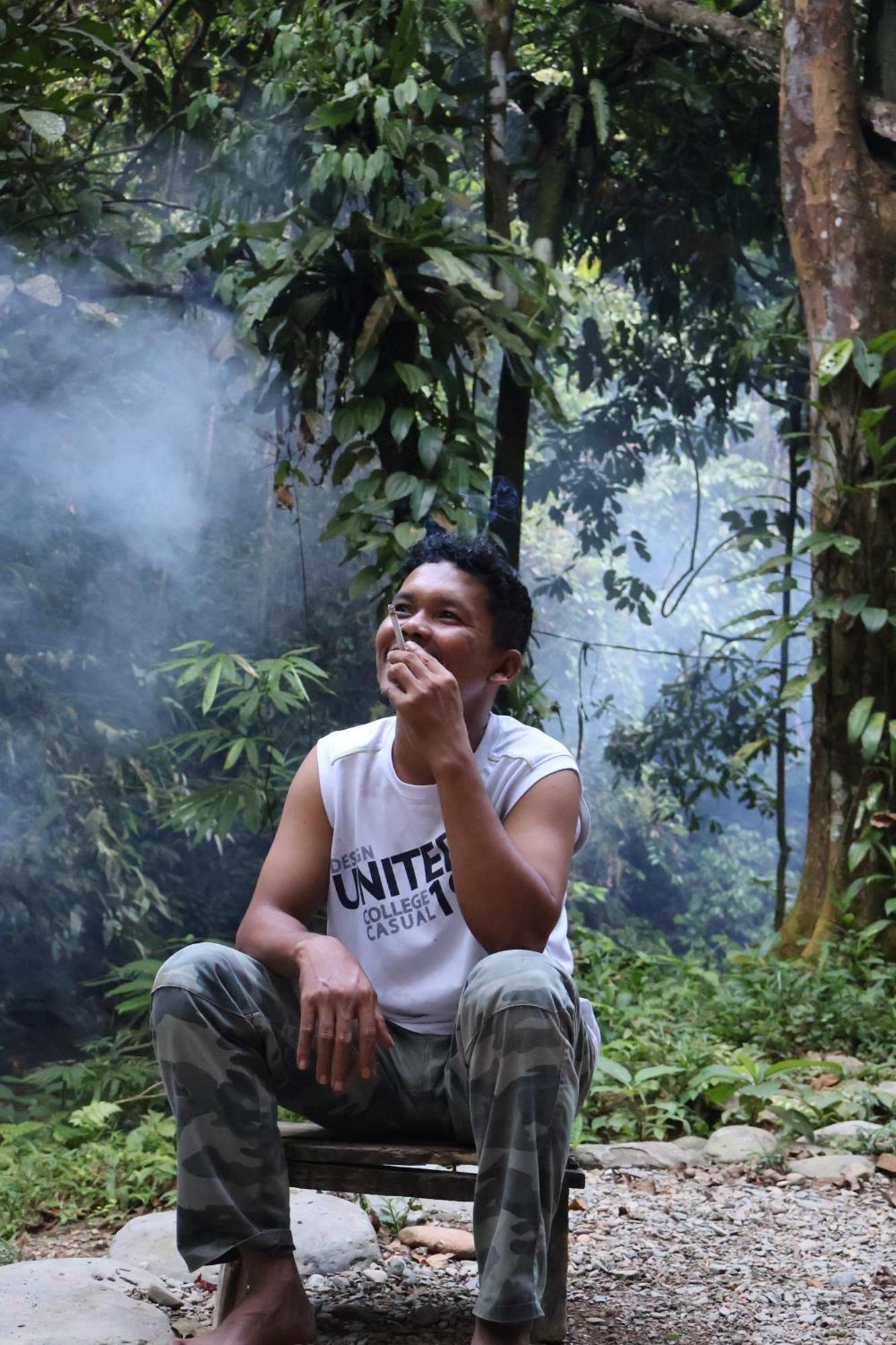 Pongo Guest House & Jungle Trekking ブキットラワン エクステリア 写真