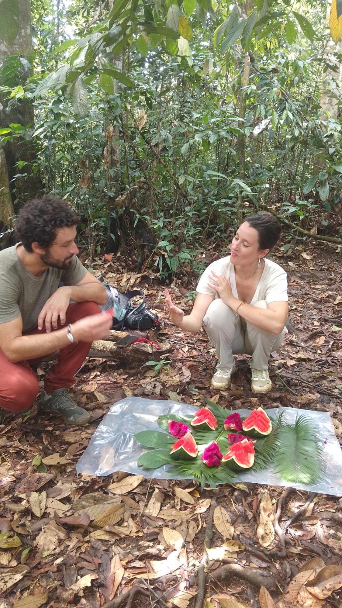 Pongo Guest House & Jungle Trekking ブキットラワン エクステリア 写真